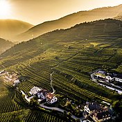 Ried Setzberg (c) Robert Herbst