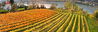 [Translate to English:] St. Johann im Mauerthale ©Donau Niederösterreich/www.extremfotos.com