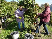 The impact of women in the Wachau-Dunkelsteinerwald region © Josef Nader