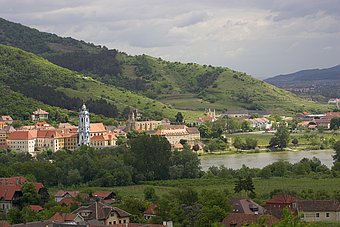 Die Trockenrasenflächen in Dürnstein beheimaten eine Vielzahl an Tier- und Pflanzenarten © Dieter Manhart Die Trockenrasenflächen in Dürnstein beheimaten eine Vielzahl an Tier- und Pflanzenarten © Dieter Manhart
