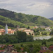 Die Trockenrasenflächen in Dürnstein beheimaten eine Vielzahl an Tier- und Pflanzenarten © Dieter Manhart