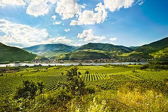 Wachauer Landschaft © Weinstraße Wachau/Rita Newman
