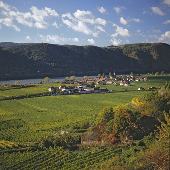 Unique cultural landscape of the Wachau World Heritage Site © Franz Hauleitner