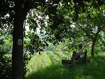 Rest area © Ingrid