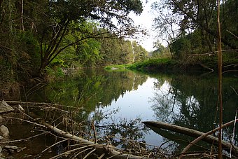 River landscapes offer numerous habitats © Franz Weinhofer