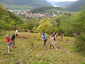Die Freiwilligen beim Welterbecamp 2018 © Welterbegemeinden Wachau/Hannes Seehofer Die Freiwilligen beim Welterbecamp 2018 © Welterbegemeinden Wachau/Hannes Seehofer