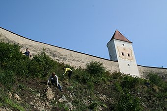 Volunteers tend to the rocky slope in the meditation garden of the Aggsbach Charterhouse © Welterbegemeinden Wachau/Elisa Besenbäck