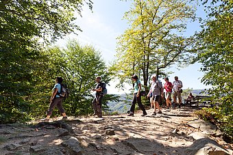 Wanderwege werden bei Touristen immer beliebter © Donau NÖ/Gerald Lechner