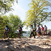 Wanderwege werden bei Touristen immer beliebter © Donau NÖ/Gerald Lechner