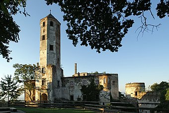 Burgruine Hohenegg © Franz Weinhofer