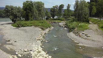 Pielachmündung © Pock